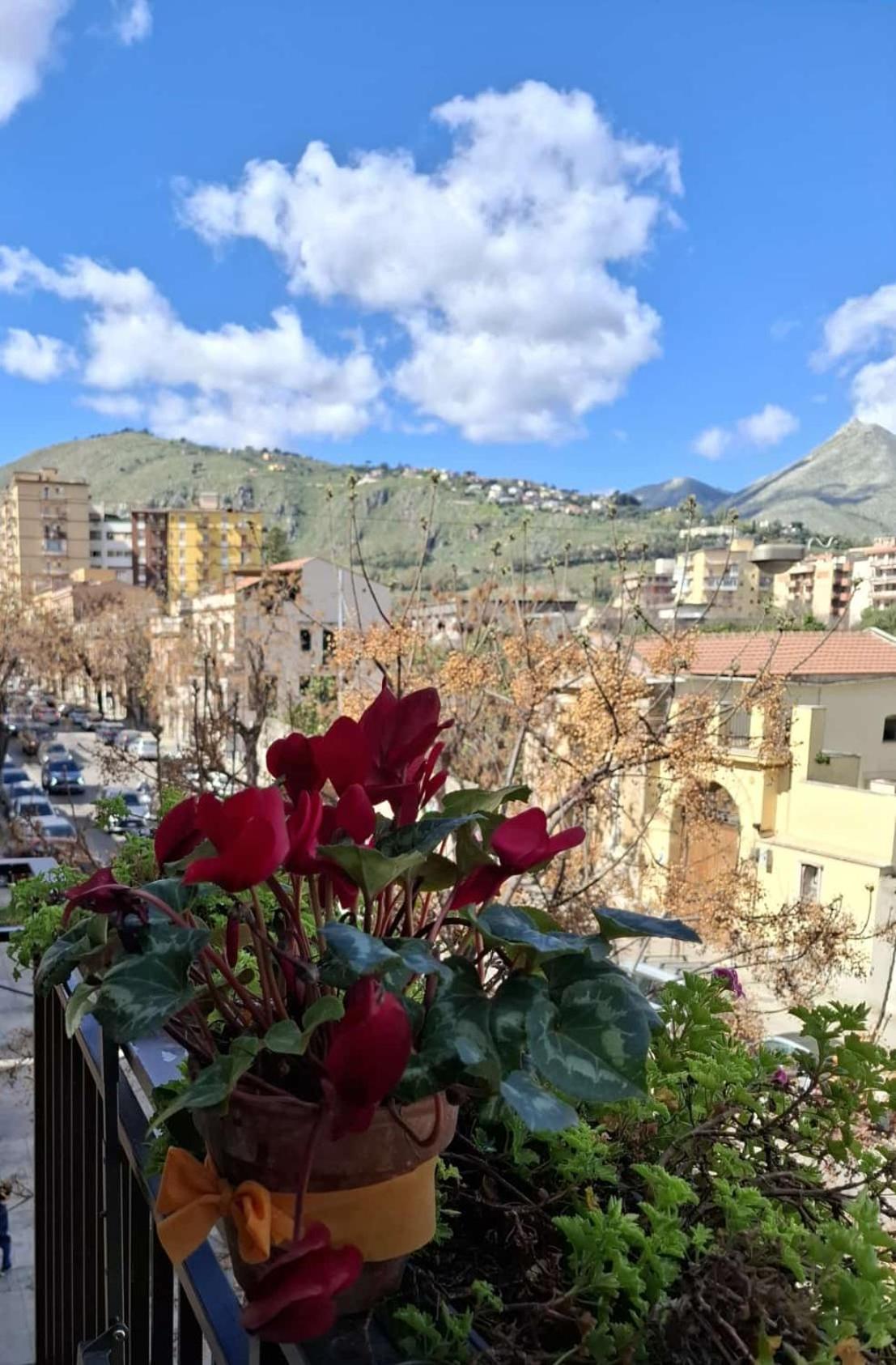 Apartamento Casa Da Giannina